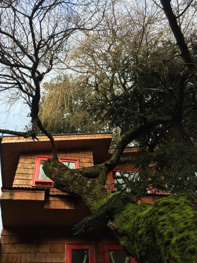 Almabosque Cabanas Пуерто Варас Екстериор снимка
