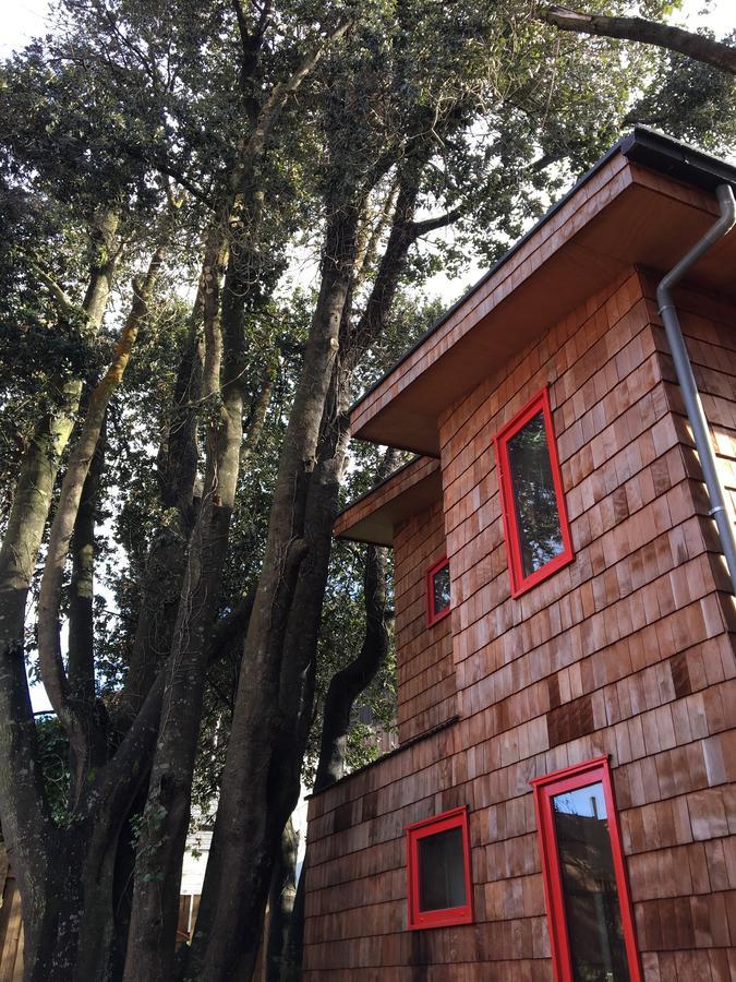 Almabosque Cabanas Пуерто Варас Екстериор снимка