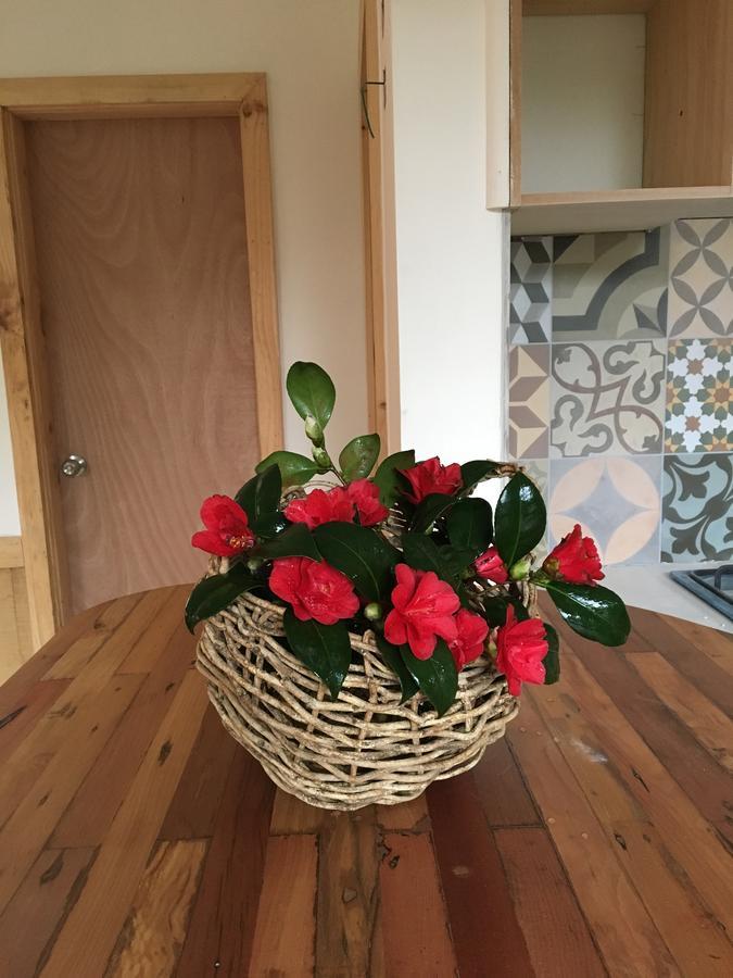 Almabosque Cabanas Пуерто Варас Екстериор снимка